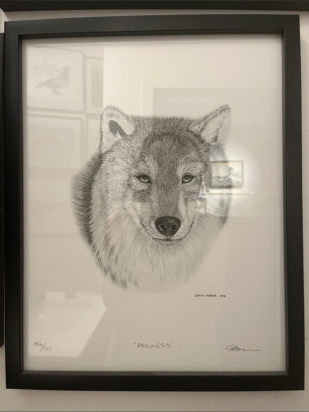 Denis Marier Gray Wolf 'Prowess' Print